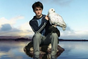 Curiosidades de Harry Potter hedwig